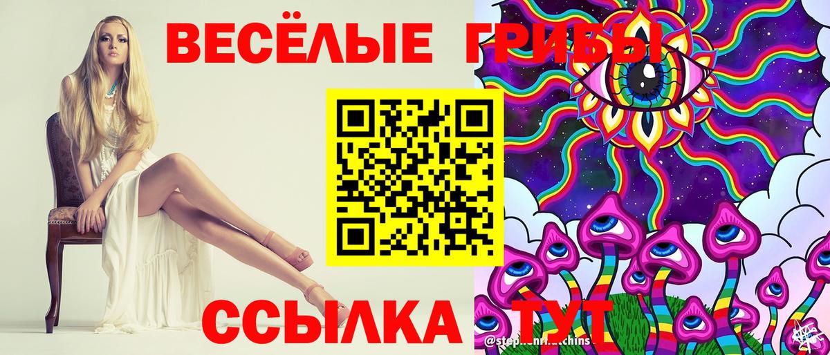 Галлюциногенные грибы Psilocybine cubensis Усолье-Сибирское